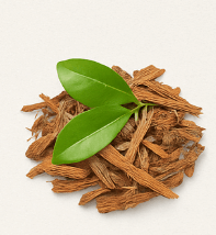 Catuaba Bark