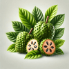 Graviola (Soursop Leaf)